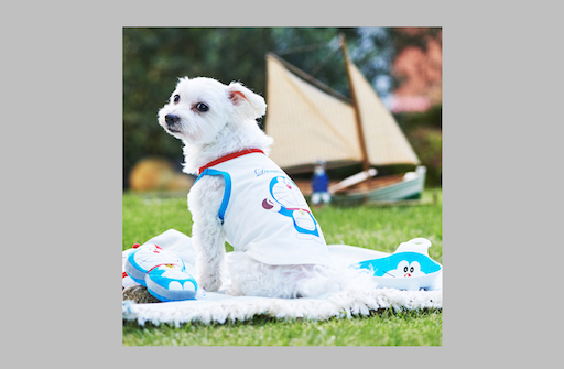 ドラえもんペット用グッズ